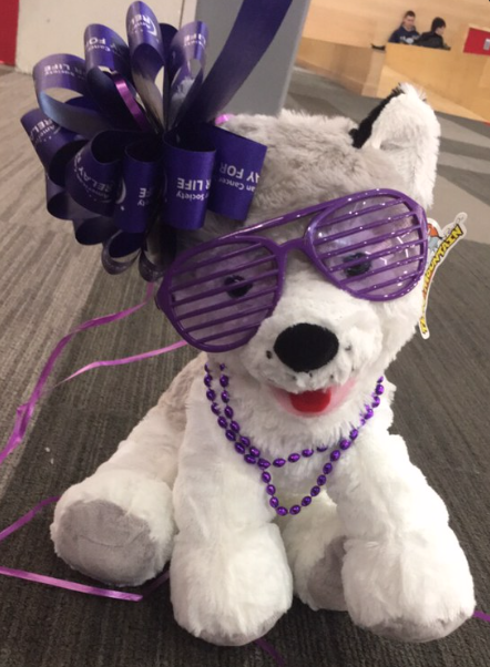 Facebook and Instagram are down so we've been having a little bit of trouble getting the word out, but... 
We are in the Curry Indoor Quad Pit Area RIGHT NOW giving out exclusive Stuff-A-Huskies courtesy of <a href="/NortheasternRSA/">Northeastern RSA</a> to participants who have raised more than $200!