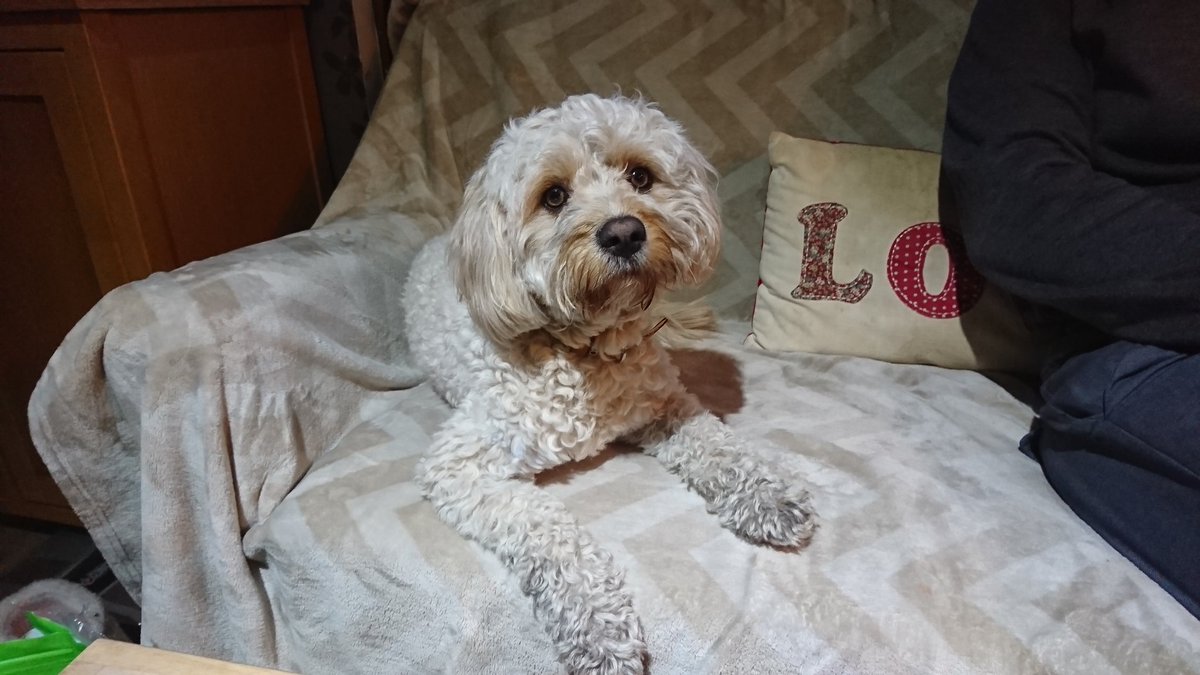 fleslie80's tweet photo. Ben is home!! Thank you again to the coastguard for rescuing him and for all the climbers who volunteered to go out today, words cannot express our gratitude ♥️♥️ https://t.co/7Y8XcXn2ta