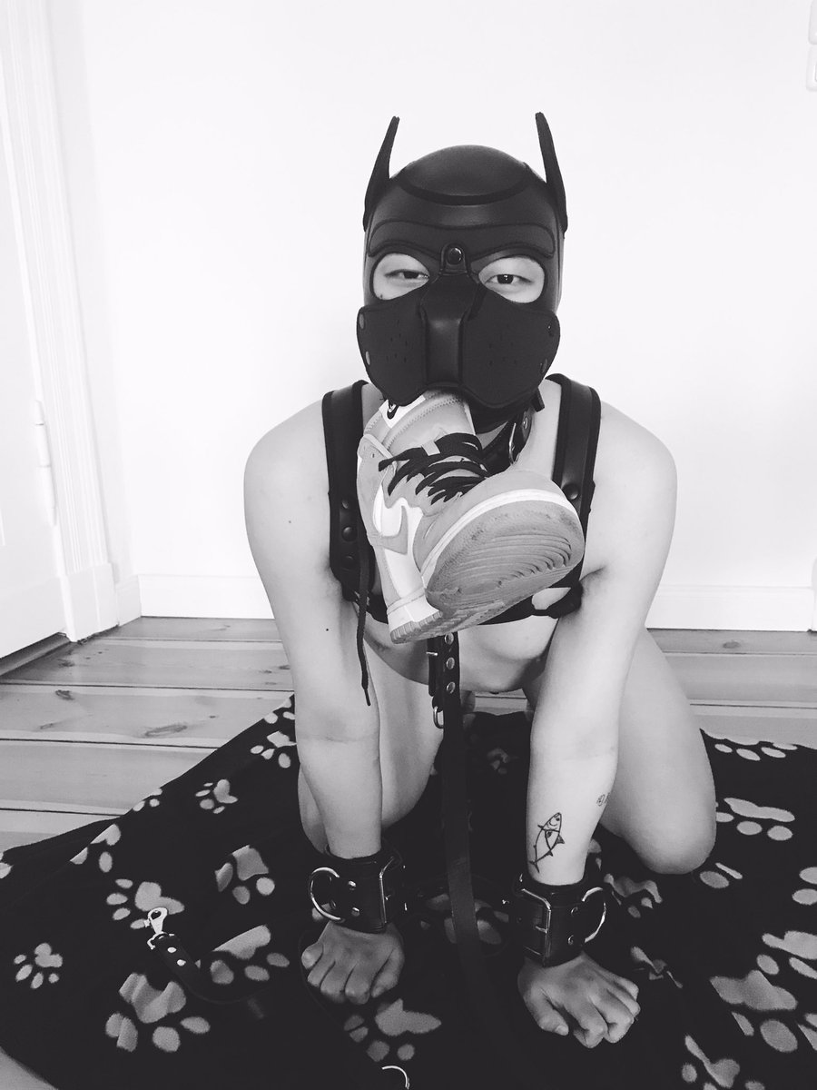 RubberSubCane09's tweet image. Wuff！