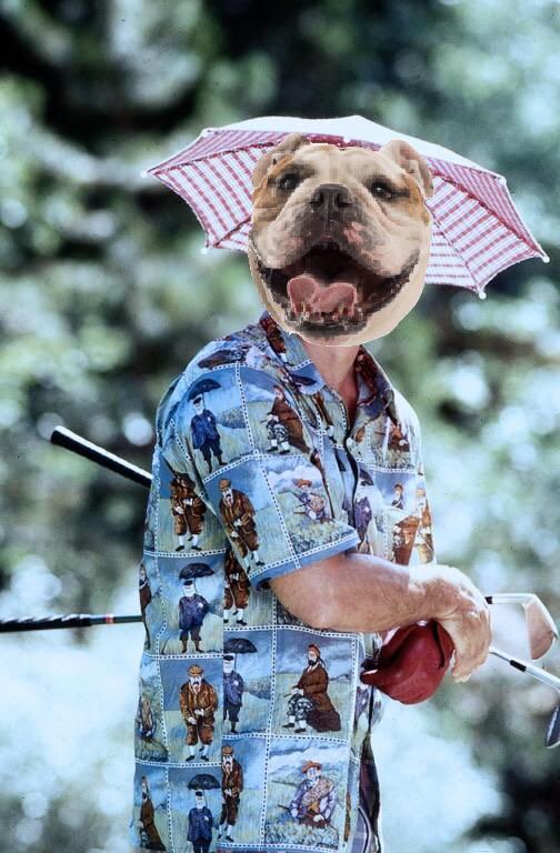 ButlerClubGolf's tweet image. Wishing you all low rounds and high temperatures - happy spring break! #butlerclubgolf