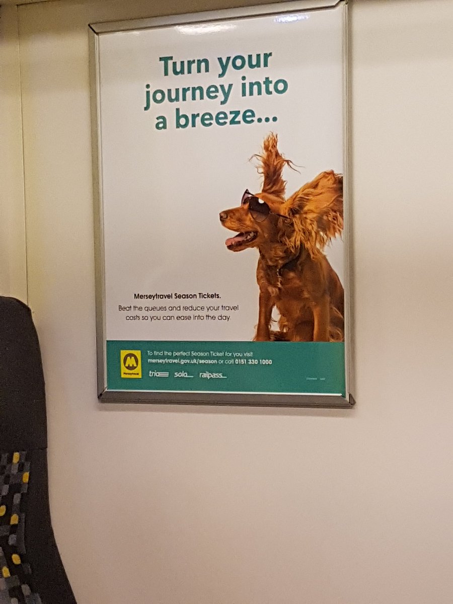 gelicioussam's tweet photo. @AdamBuxton I'm so happy to hear this my husband was moping about there being no new ones for ages.  Also I saw this picture of a dog, for some reason I imagine Rosie to be just like this https://t.co/3aUeZD9HGb
