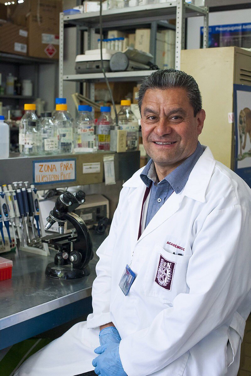 IPN_MX's tweet photo. Comprueban en la @ESM la efectividad de los antioxidantes como protectores e inhibidores de daño renal en etapa inicial. https://t.co/QONs5y8eTB https://t.co/jOlsNAuogQ