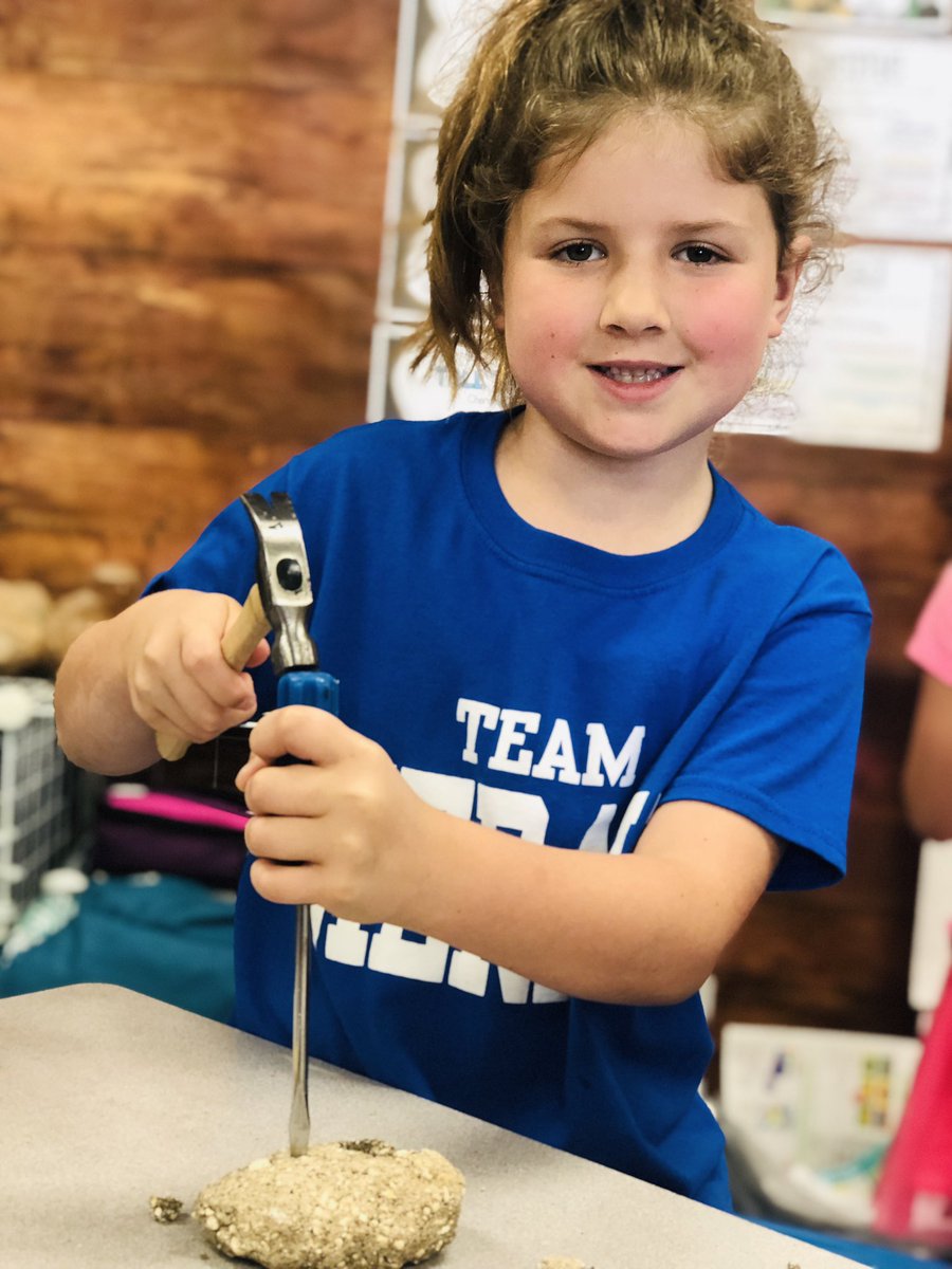 mrsditarando's tweet image. No study of rocks and minerals is complete without a day of fossil fun. I think these future paleontologists would agree. #diggingit