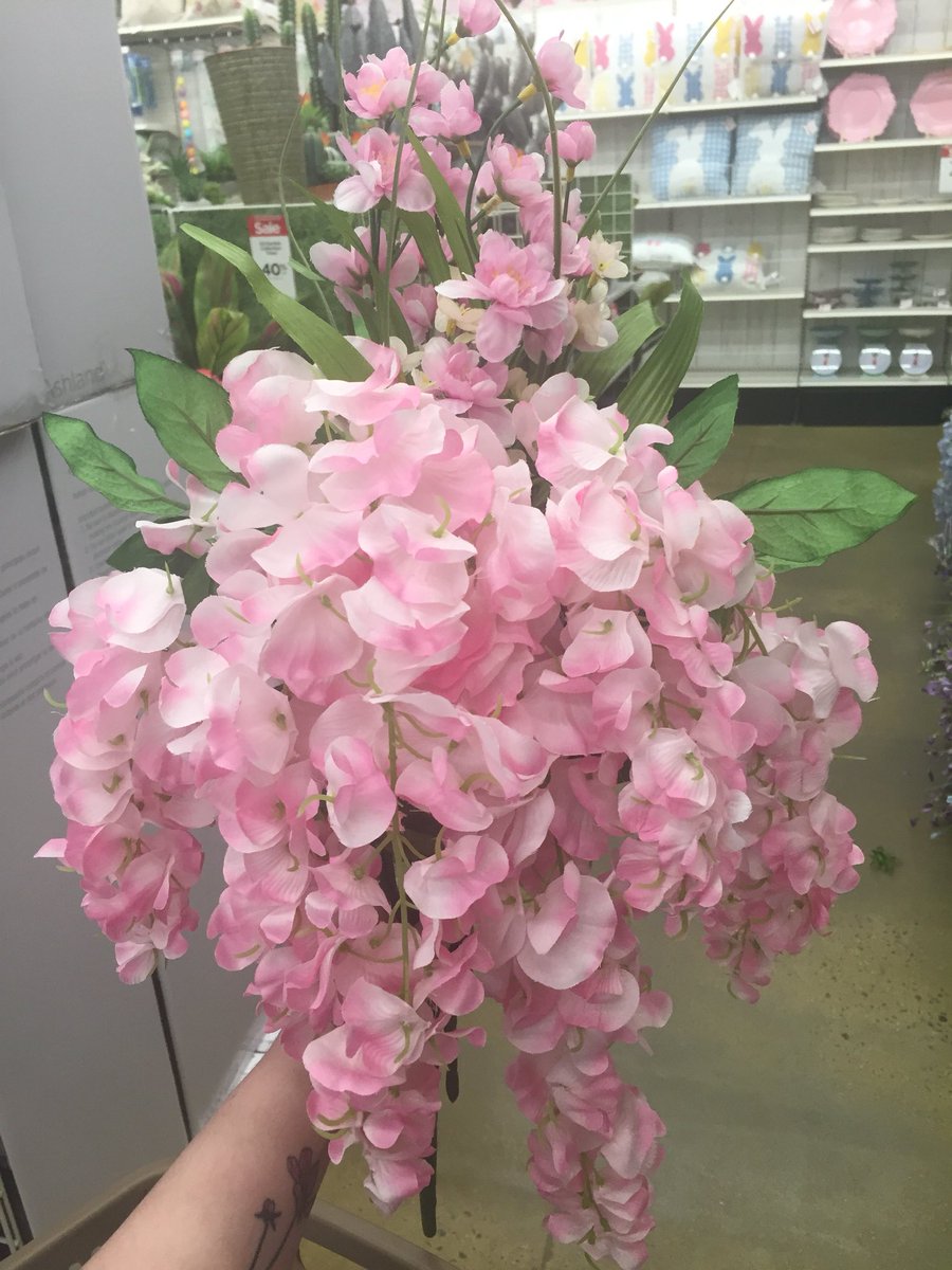 Basil and Vesper are getting some colorful enrichment today 🙃