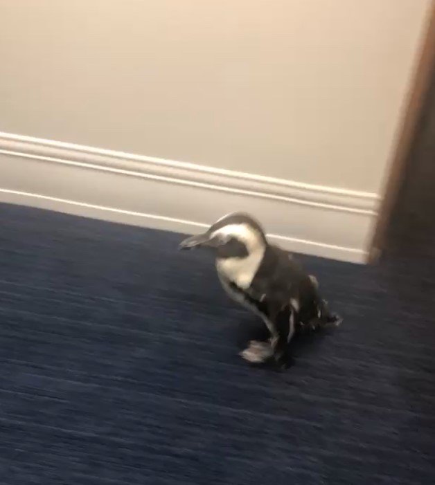 The Florida Aquarium on Twitter "So happy the Aquarium could be in 