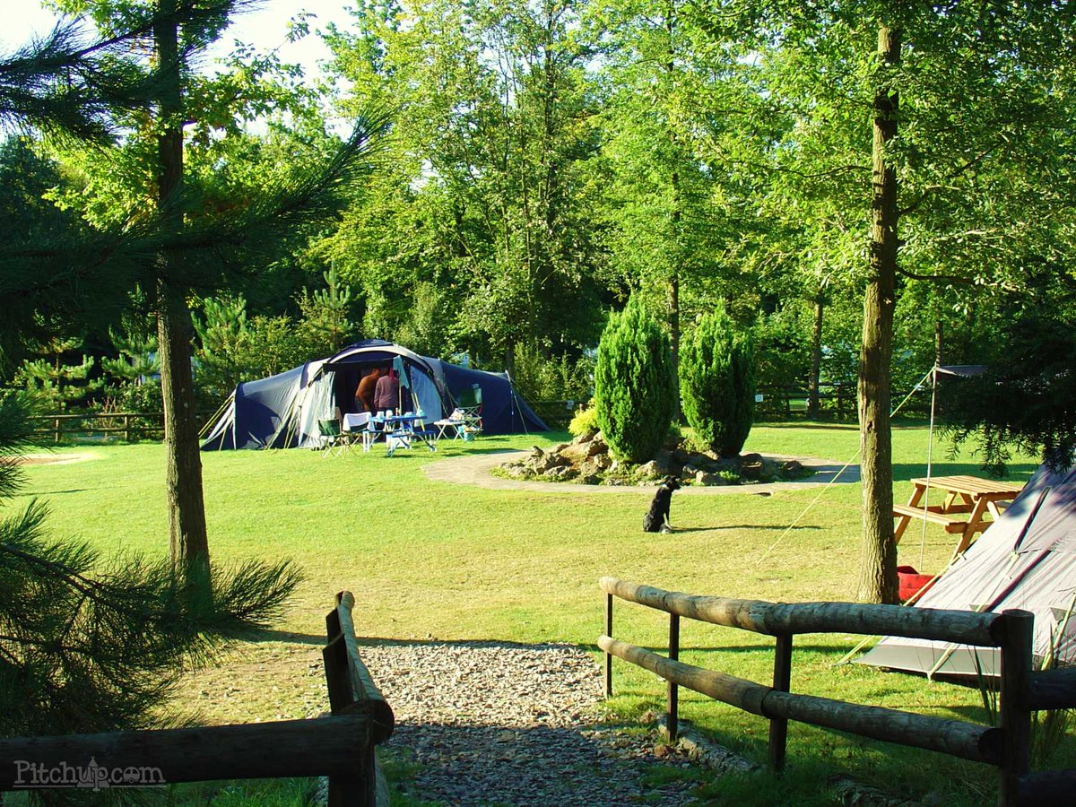 CampsitesDirect's tweet photo. Join us today https://t.co/BKbSMSE41i
Caravan parks, gites, cottages, static caravans, self catering holidays
Add your activity day/things to do - its FREE just pin it to our map to be found - visitors to your area want things to do
Create a basic silver listing for FREE https://t.co/zk1cFaT9Mx