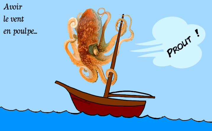 MachinOfficiel's tweet photo. « Avoir le vent en poulpe »  #FoireTonExpression 

(#RetirezMoiPhotoshop au vent mauvais) https://t.co/veqw4QEja0