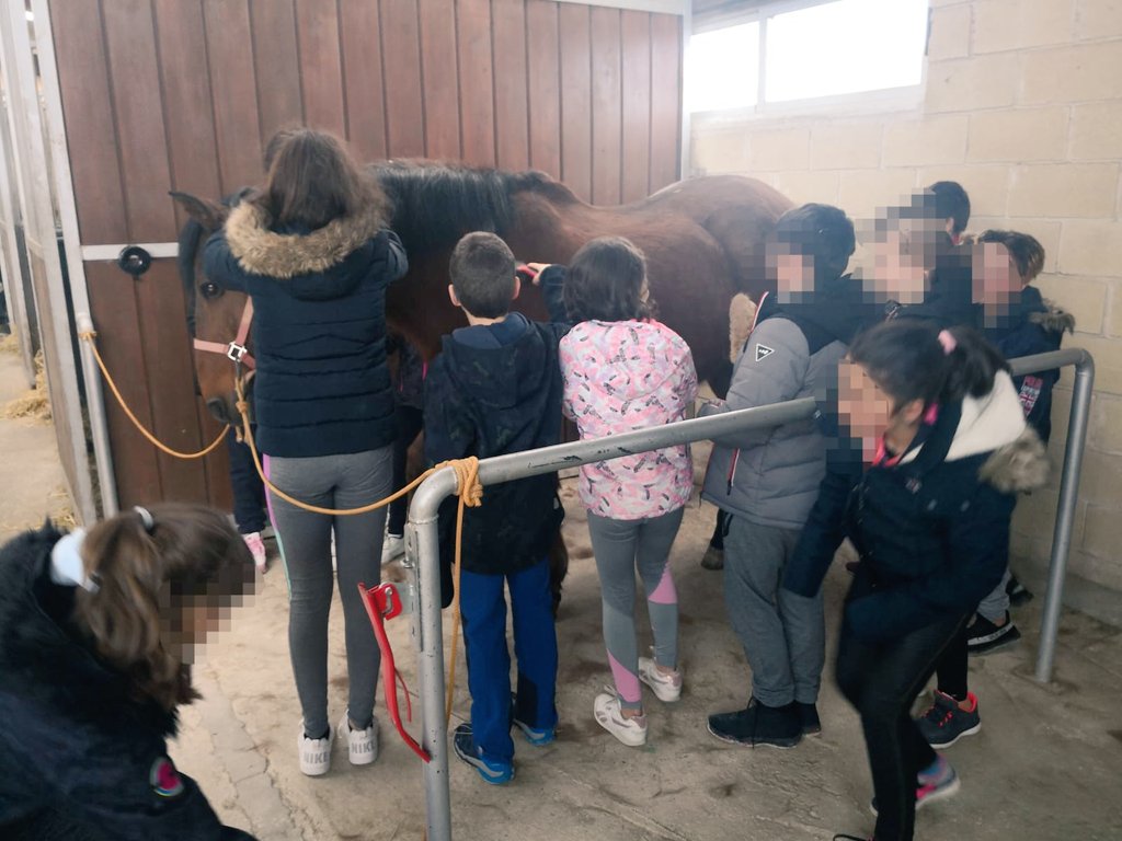 CEIPSNROQUE's tweet photo. Día completo en el @CrieBurgos: montar a caballo y escalada! https://t.co/wB4zQWjRth