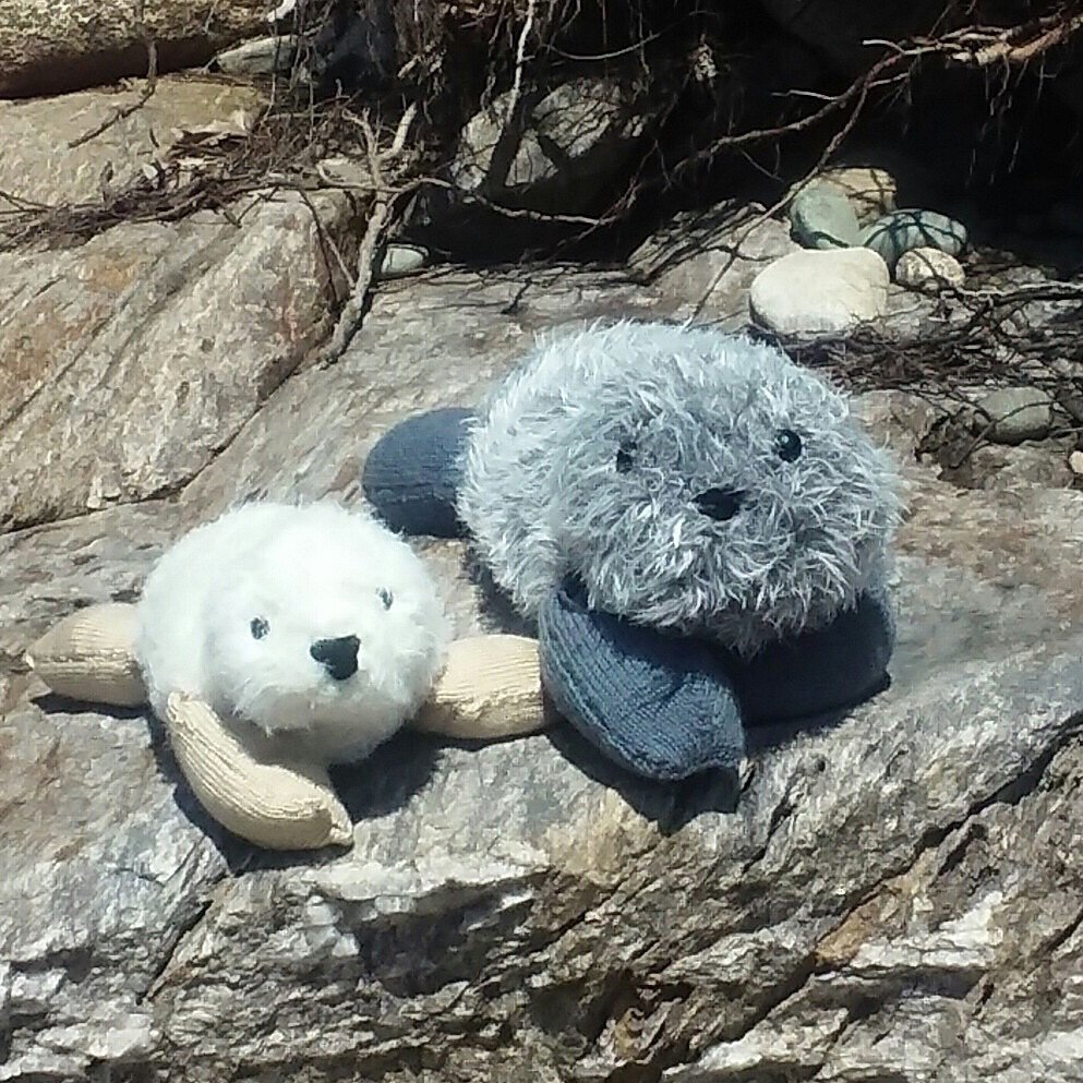 Knitted sea otters
#knittersofinstagram #knittoys #knittedtoys #yarn