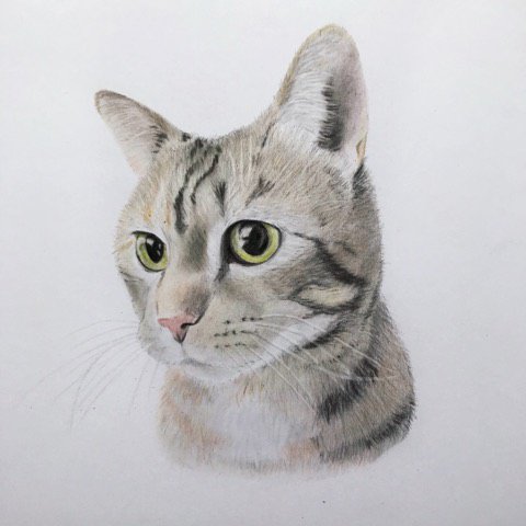 Here's one of my latest kitty portraits. 🐱💗
Please RT to show me and my small business some support and I will be eternally grateful.