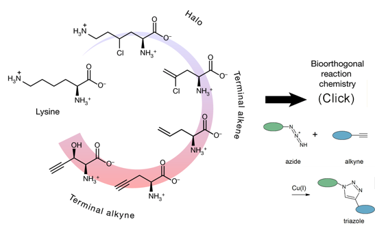 Gary Siuzdak tweet media