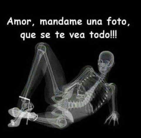 Modelos Galilea tweet media