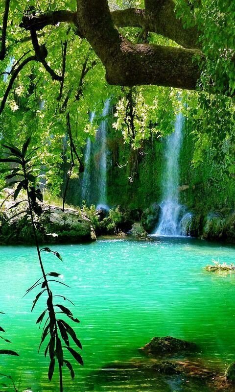 godfrienddme's tweet photo. #God                        #ReceivedToday 
        Do business until I come! 

Don't have your head in the clouds and forget the need on the ground! #godfrienddme https://t.co/C7Oq5kZ6Xg