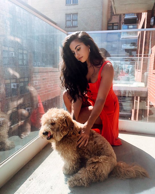 My second child, aka my sister&rsquo;s dog 🐶 🥰 https://t.co/4cwYTY6jQ3