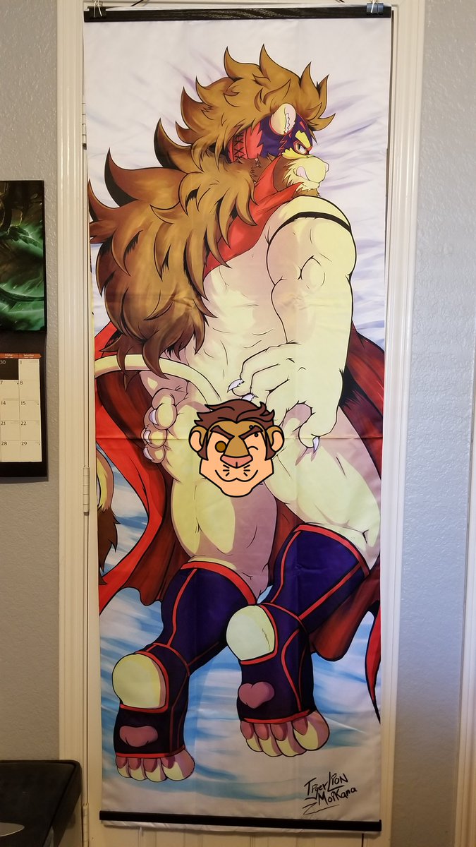 DyneWulf's tweet photo. My hanger came in today too! I dunno if I'll find big enough pillows to fit this guy, but I can hang him on the wall to show him off at least (and I can flip it around 8D). Be sure to go check out more of @TigerLion_Art 's stuff ;3 https://t.co/EHXPNPorqv