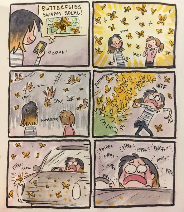 #Butterflymigration / Butterfly Invasion 2019 