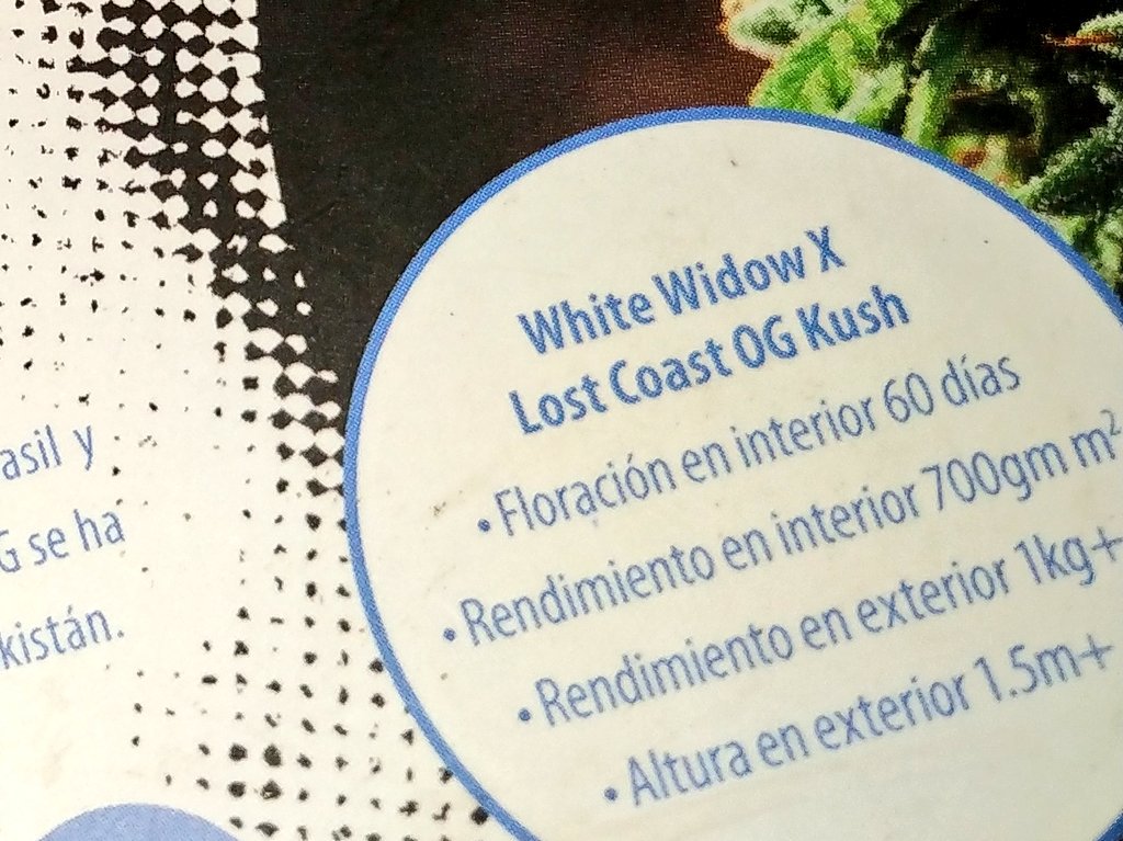 Green Test tweet media