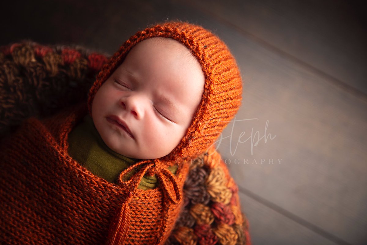 Steph Alsop tweet media