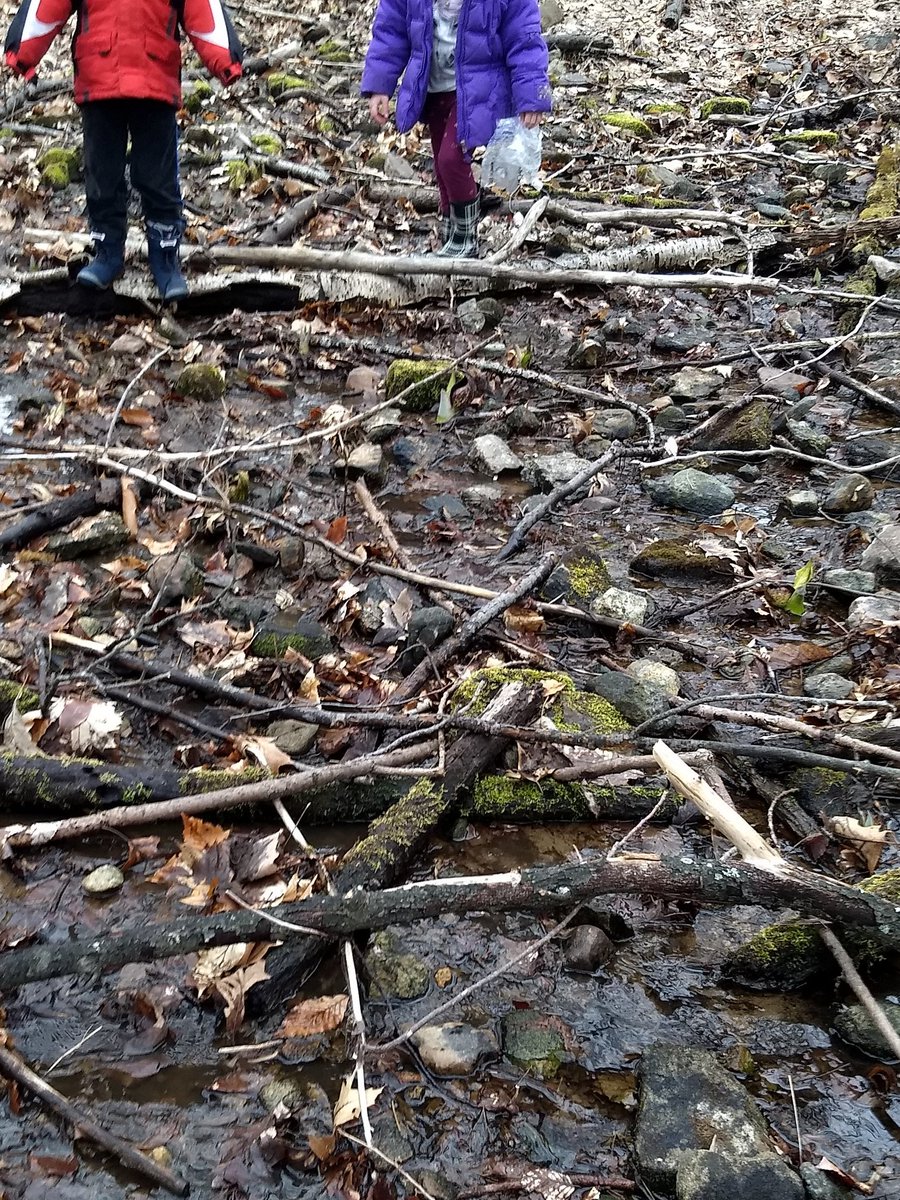 Cleaning up the creek by our house. #trashtag #Trashtagchallenge