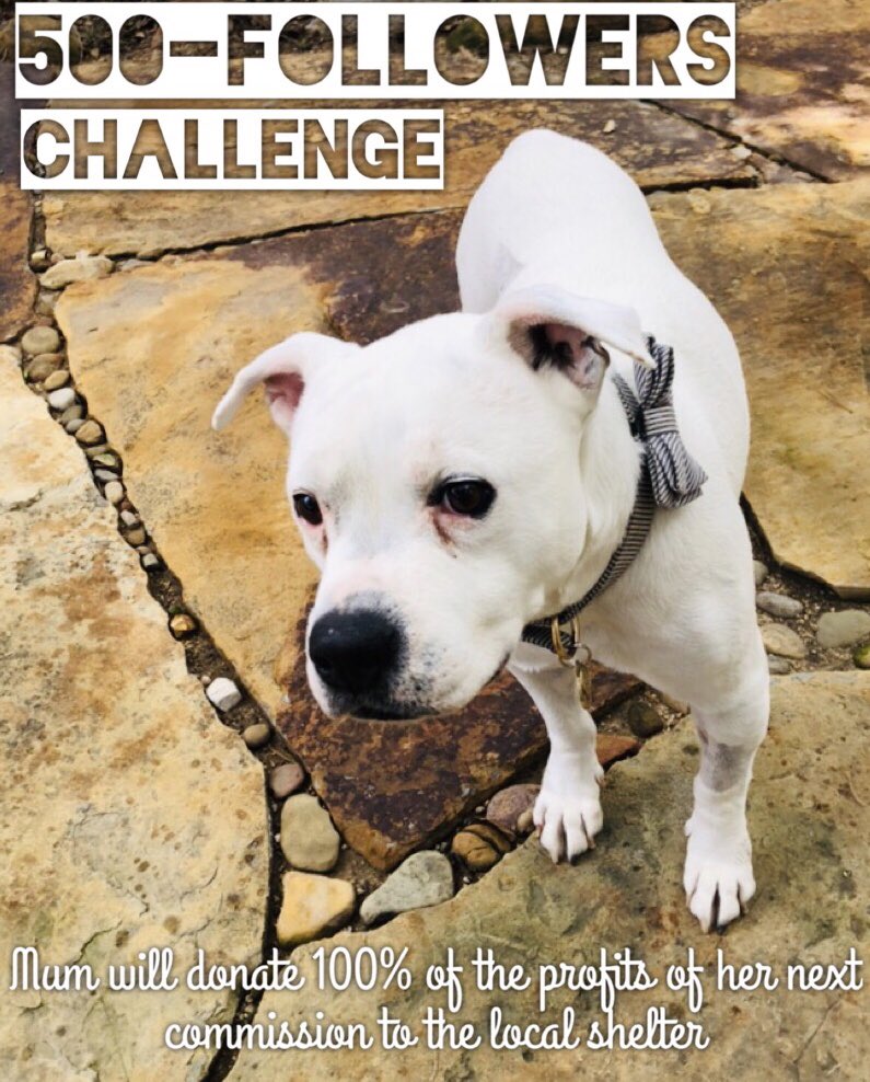 PitbullsAndSoil's tweet photo. Let’s have some fun! If Donut and I get 500 followers by the end of the week, 100% of the money the Lrg painting I was commissioned to do will be donated (that’s twice the donation it would have made!). 🐾❤️Retweet #DogsofTwitter #doglovers #dogood #dogs #pitbulls https://t.co/lvUxhJeyMP