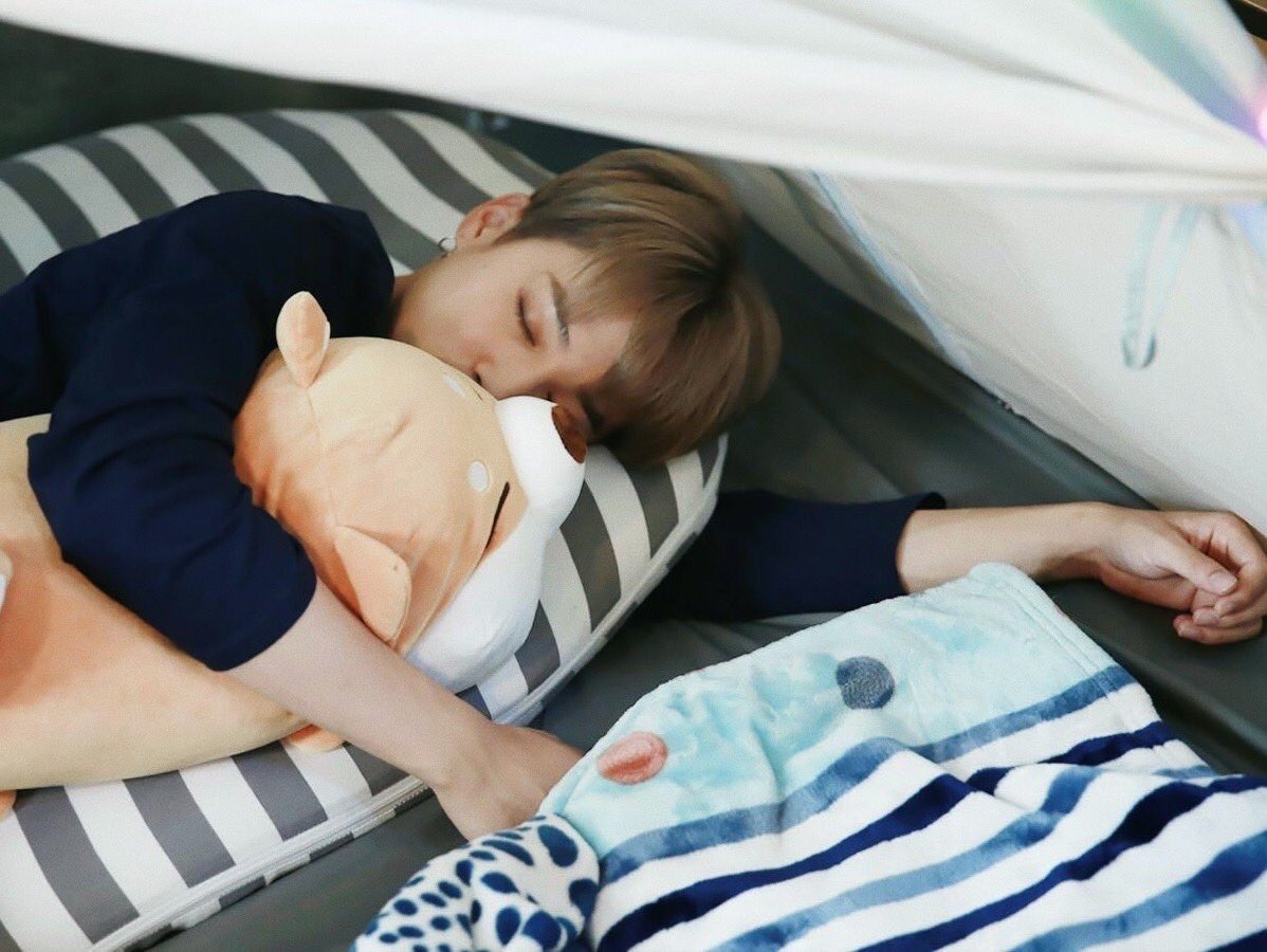 chaoticsmol's tweet image. 