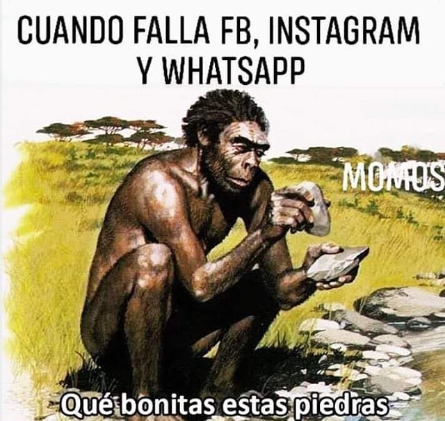 EKnowmada's tweet photo. Sobreviví  a la caída de las redes sociales. Trabajé sin problemas. ¿Y tú, cómo lo pasaste? .
.
.
#socialmediacrash #instagramcrash #onlinework #autopublish #serviciosparaescritores #escritoresindies https://t.co/v7zKi3V638