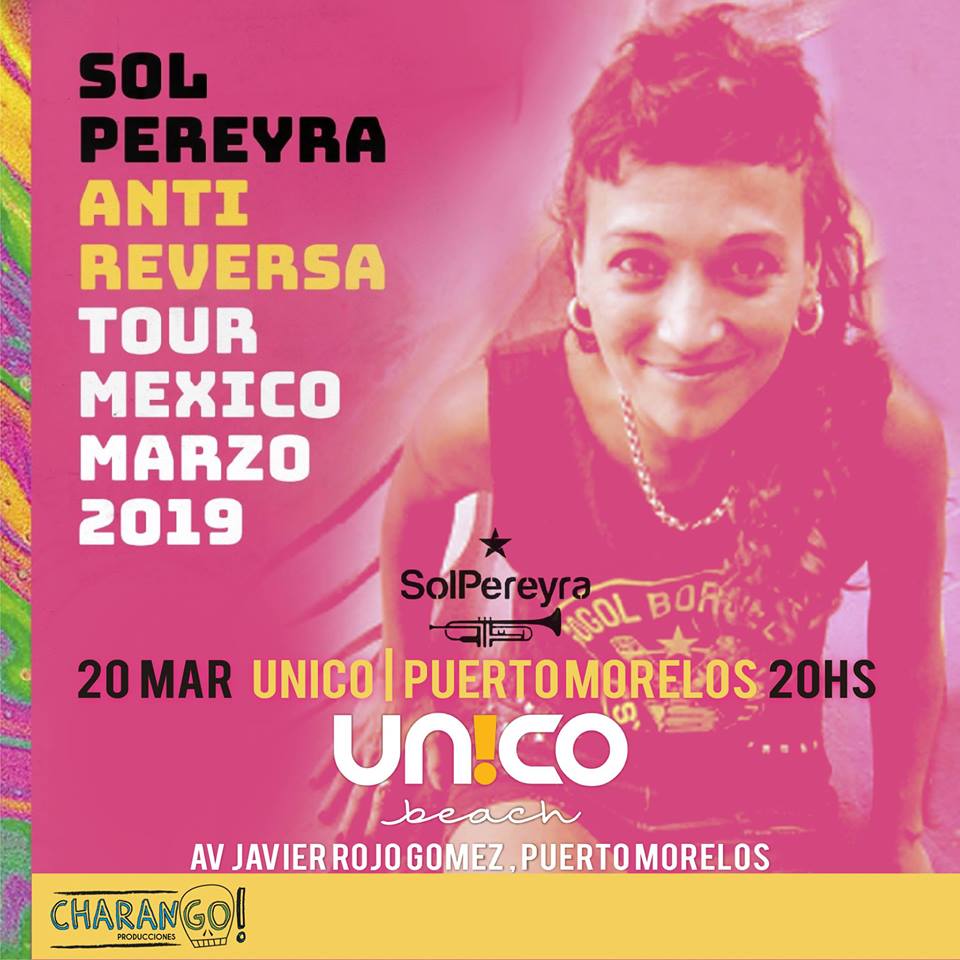 Vivo en Puerto Morelos tweet media