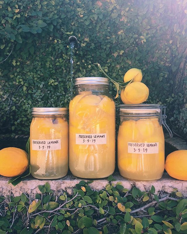 Have an excess of lemons this season? So do we! Have you ever tried preserving them? All you need are lemons and salt to get this project going. Well and jars of course! We made ours with the meyer lemons grown right in our courtyard. Now we wait a few w… ift.tt/2CdJy9p