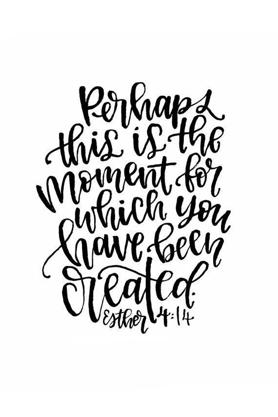 Jennifer Beall tweet media