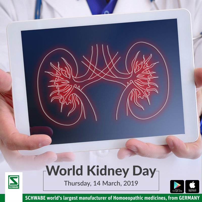 From this #WorldKidneyDay, remind these 3 things to yourself and follow them on a daily basis to keep your kidney healthy.

#SchwabeIndia #WorldKidneyDay2019 #WKD2019 #WKD #KidneyAwareness #KidneyDay #KidneyDiseases #KidneyCure #KidneyPrevention #Health #Wellness #Homeopathy