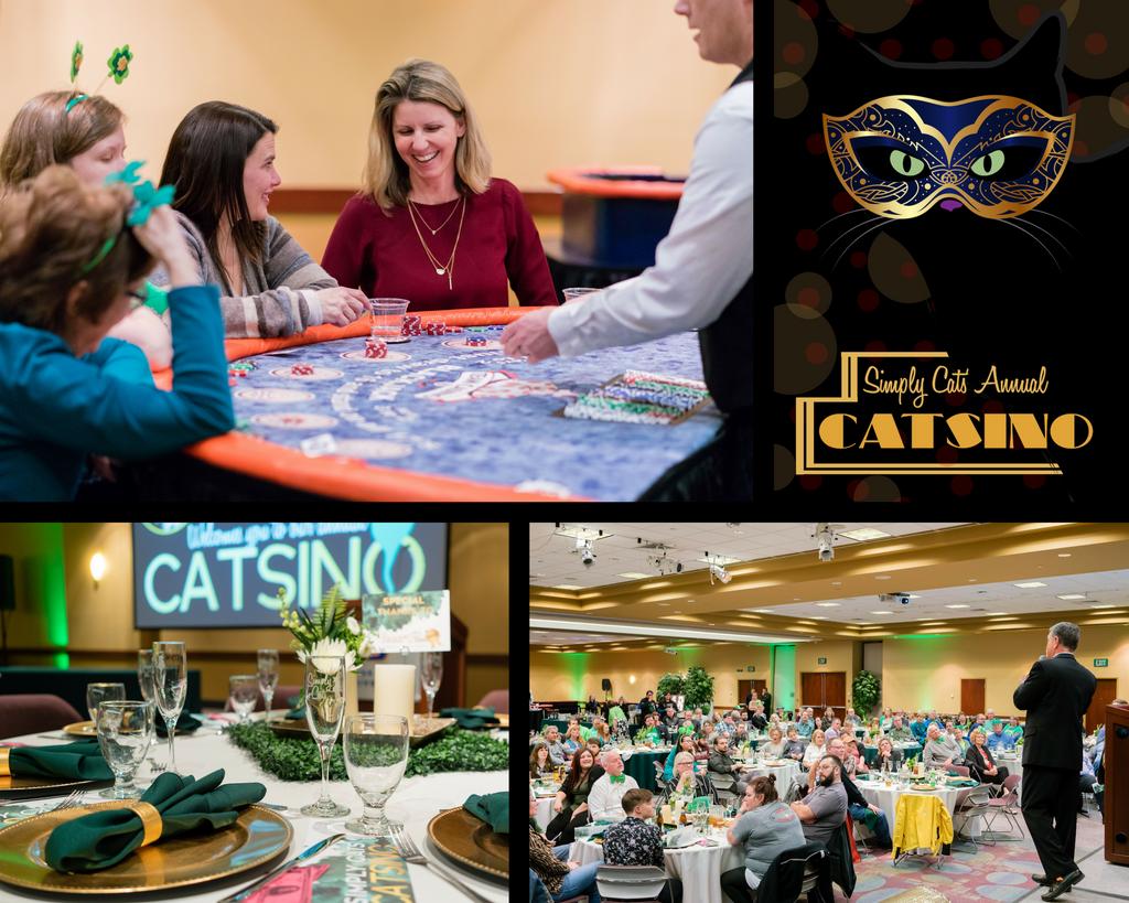 Simply Cats tweet media