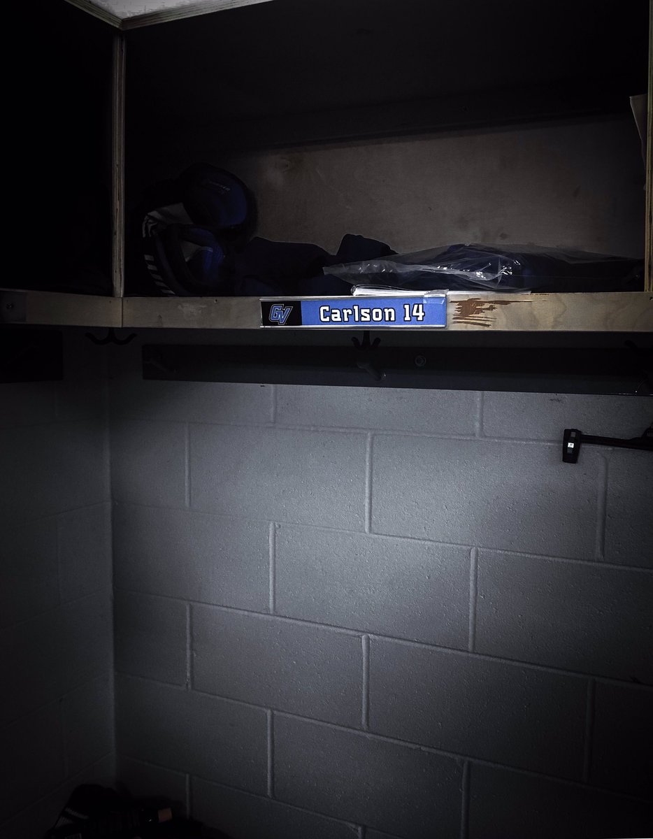 GVSU Women’s Hockey tweet media