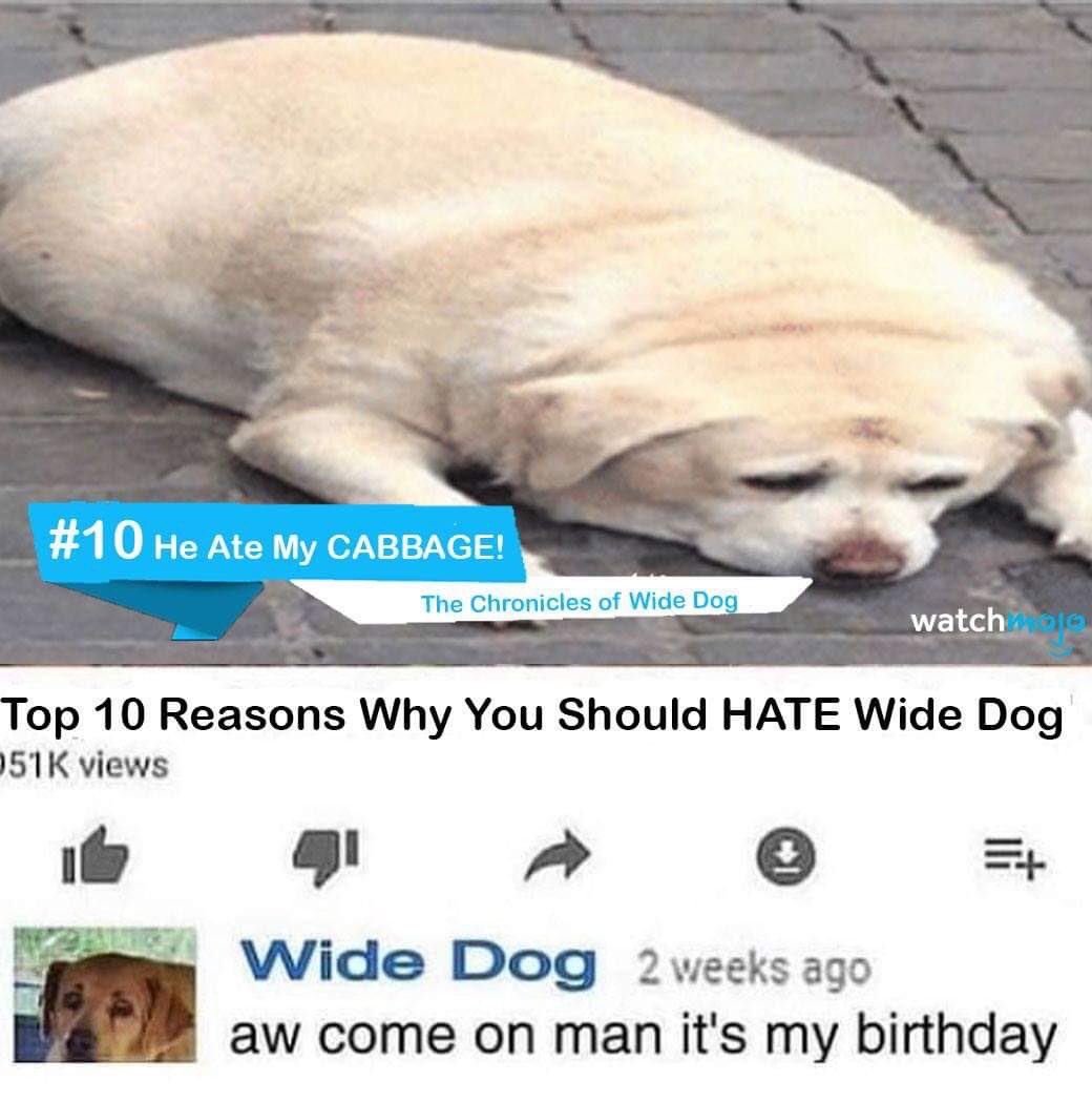 CartagoMemes's tweet photo. Sad nigga hours https://t.co/1WWxsVAmWv