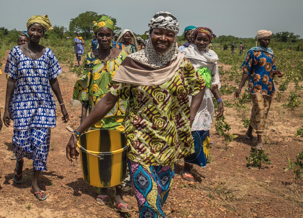 Women produce 70% of Africa's food but own less than 20% of the land they tend because of customary laws which grant #landrights inheritance only to men. Equality &amp; #WomensRights matter for #ClimateAction. #AfricaClimateWeek #SolveDifferent