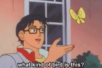 betchesluvthis's tweet photo. All millennials when we are forced to look up from our screens during the #instagramblackout2019 https://t.co/wpWpbzI4ZC