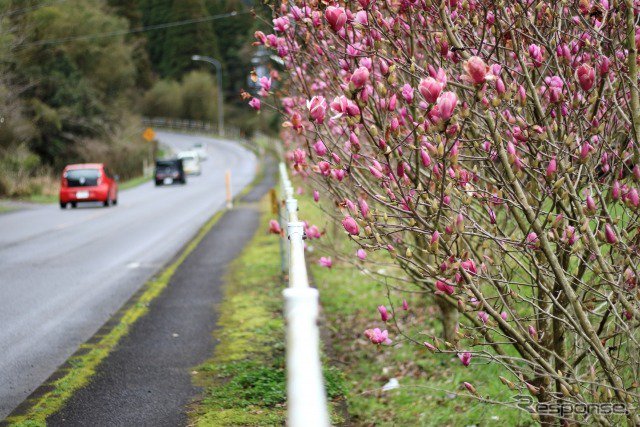 responsejp's tweet image. シートベルトで運転者の健康状態を検知、カバー型デバイスの実証実験を実施
response.jp/article/2019/0…

#シートベルト #健康状態