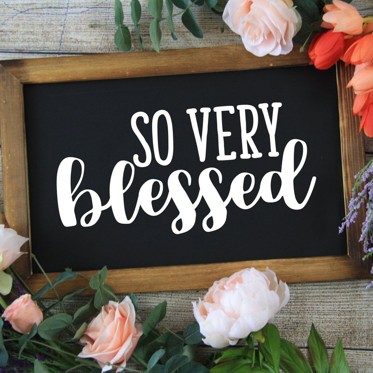 veryblessedc's tweet photo. So Very Blessed SVG file for Cricut / Silhouette, Svg, Svg file, Svg files, Cricut, Silhouette, Home Decor, Sign https://t.co/lJ9cb8MKqT #supplies #cardmakingstationery #svg #cricut #silhouette #shirtsvg #tshirtsvg #shirtdxf #svgfiles https://t.co/BmFN6yakkO