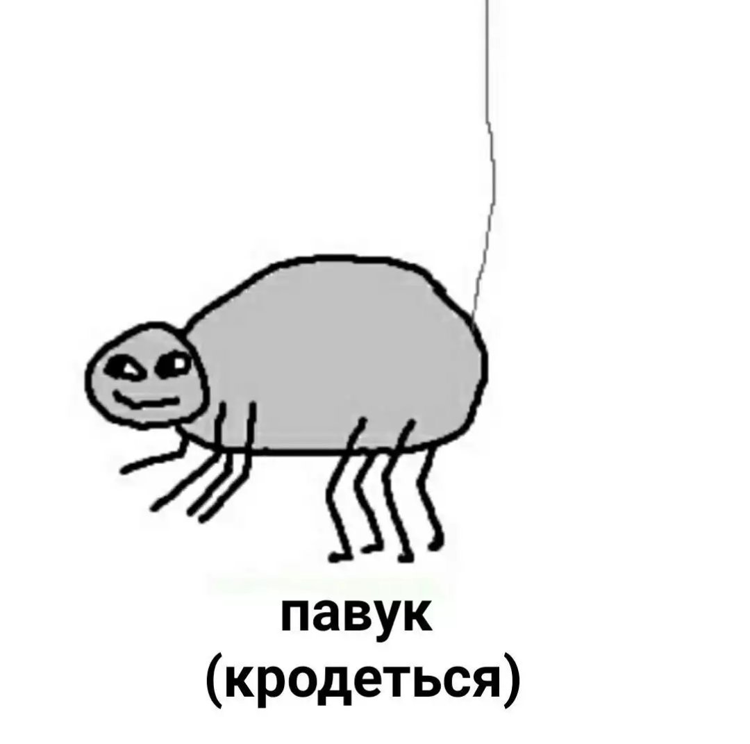 Мемы с пауками