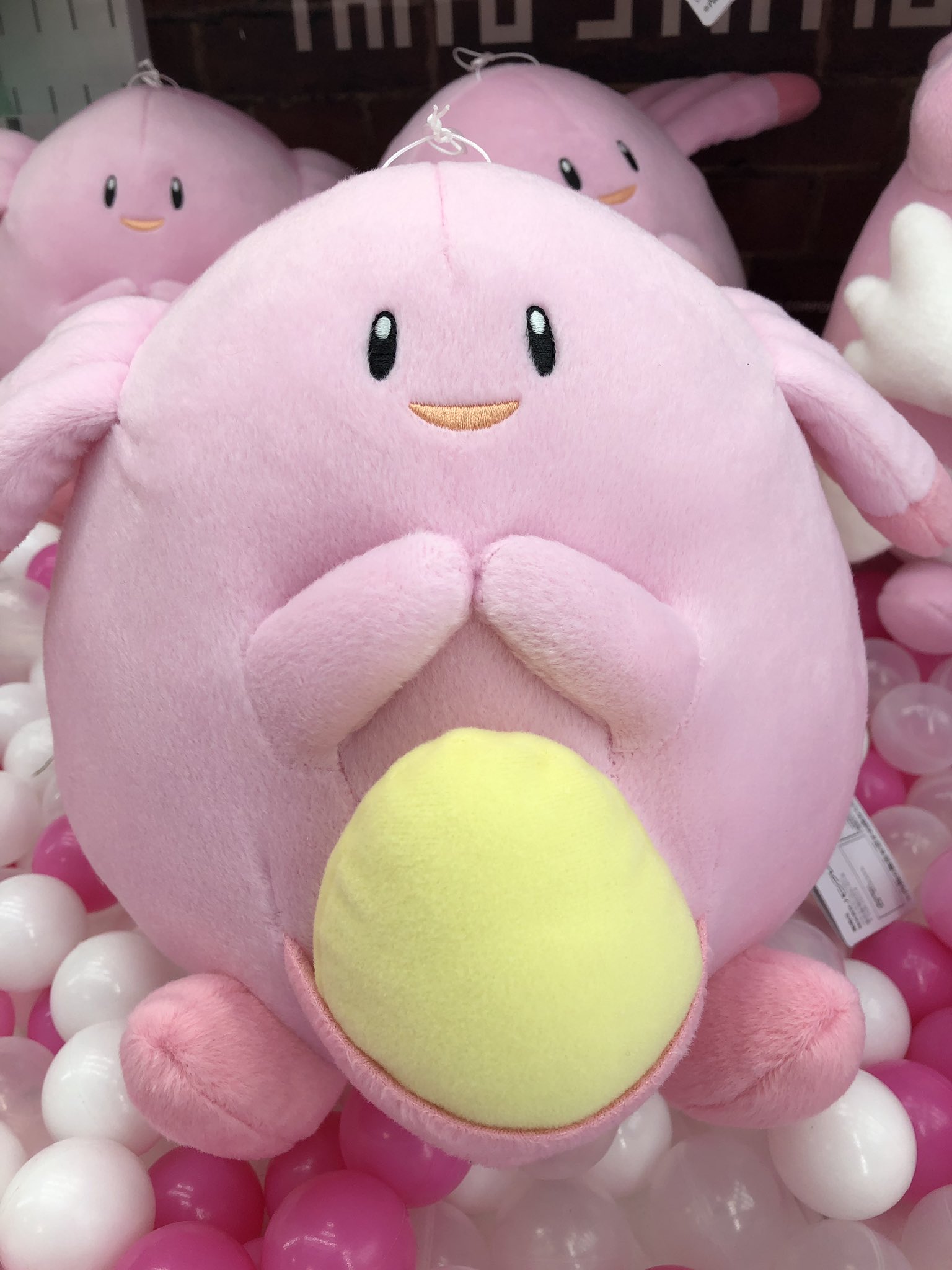 タイステ海老名ビナウォーク店 周年 プライズ 新景品 ポケットモンスターサン Amp ムーンでっかいぬいぐるみ ラッキー ハピナス が登場 可愛らしい2匹に癒されてますね ぜひゲットしてみては ポケモン サンムーン ラッキー ハピナス