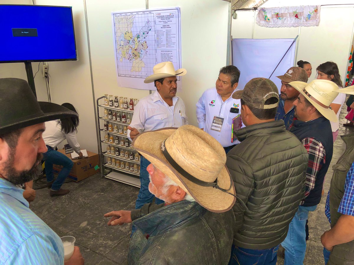 crpachtula's tweet photo. Esta colecta refleja la pasión de  quienes hacemos del #ExtensionismoHidalgo una estrategia de vida, más allá de producir, valoramos la cultura y la experiencia de las generaciones previas, @noe_gerardo al paso del tiempo tiene geolocalizadas estas bellezas, Quieres apoyar? llama https://t.co/QpTFIB2y68