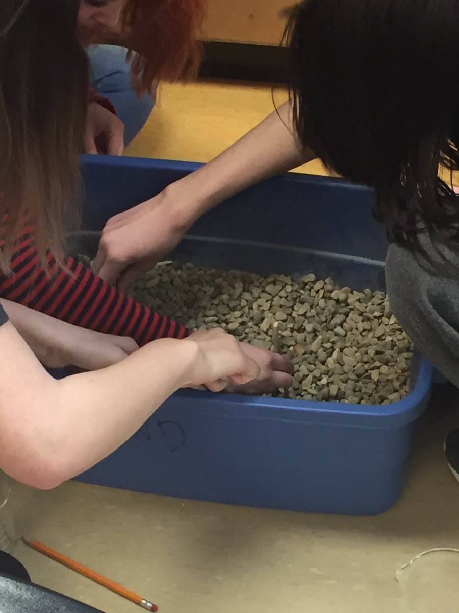 MrsRiddle5's tweet photo. I wanted some smiling faces in these photos- but that would require taking your mind off the game for a second. That wasn’t going to happen in this #naturalselection #lab #biology. Only 30 seconds each to see if you would survive. @IronRidgeJr https://t.co/vvf0v7XlUu