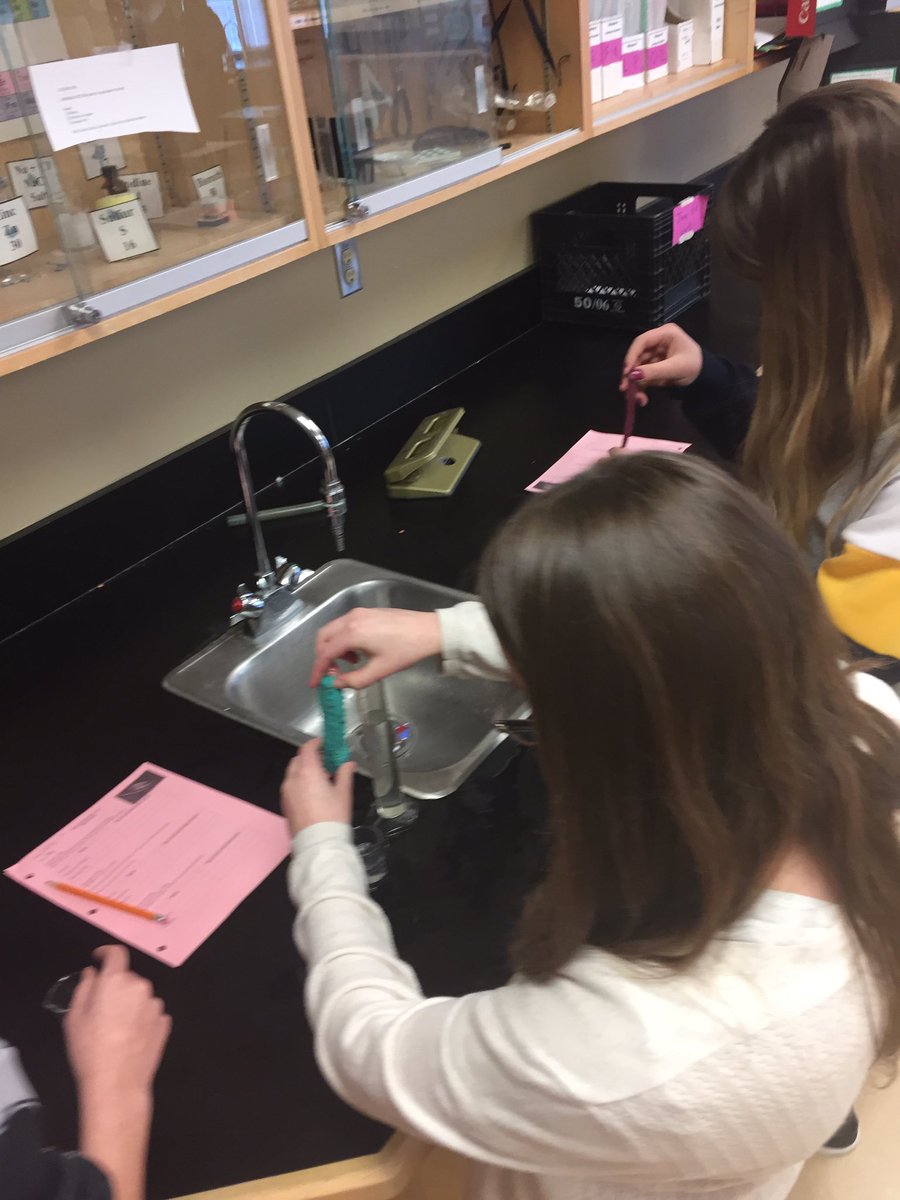 MrsRiddle5's tweet photo. I wanted some smiling faces in these photos- but that would require taking your mind off the game for a second. That wasn’t going to happen in this #naturalselection #lab #biology. Only 30 seconds each to see if you would survive. @IronRidgeJr https://t.co/vvf0v7XlUu