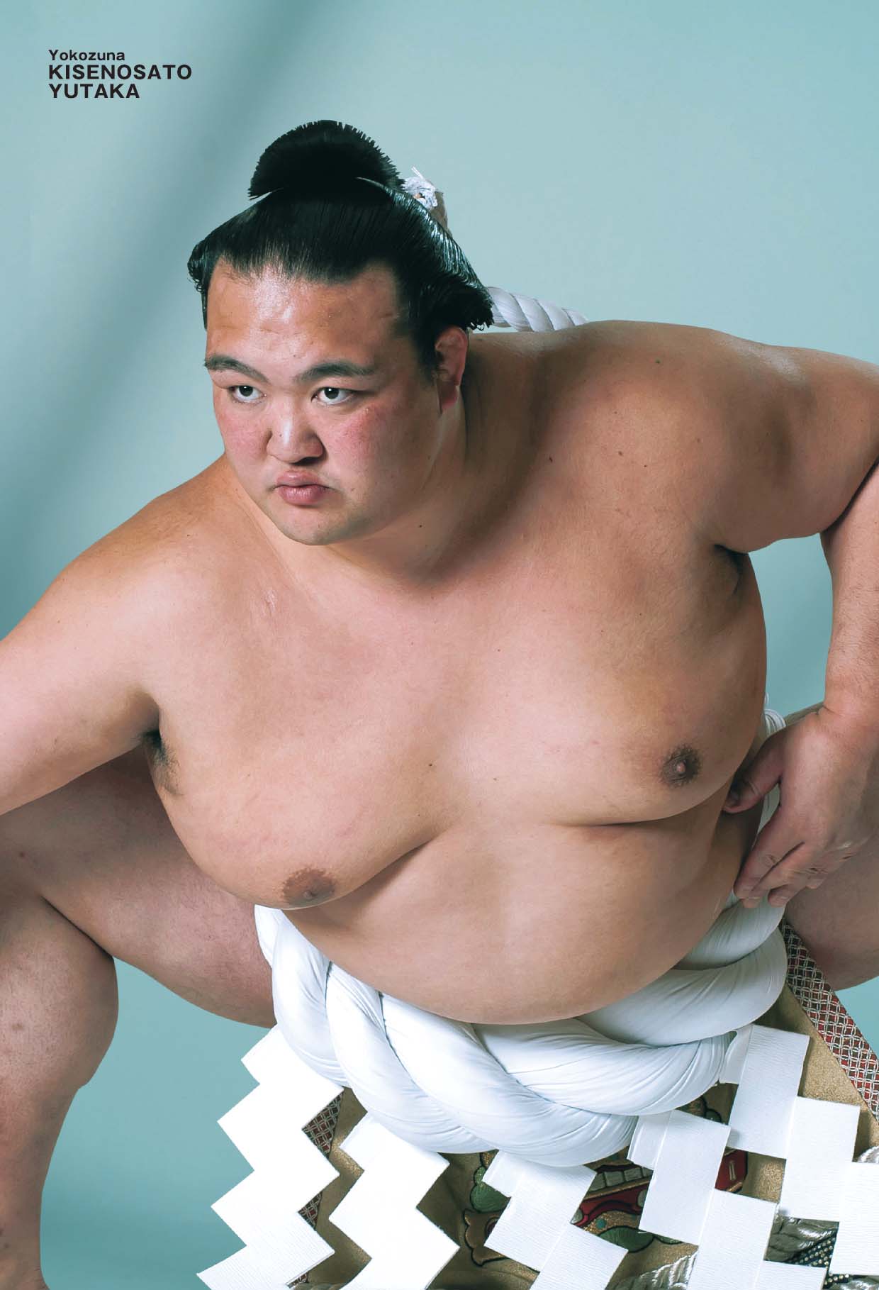 相撲グッズ 稀勢の里引退記念 traviesospet.cl