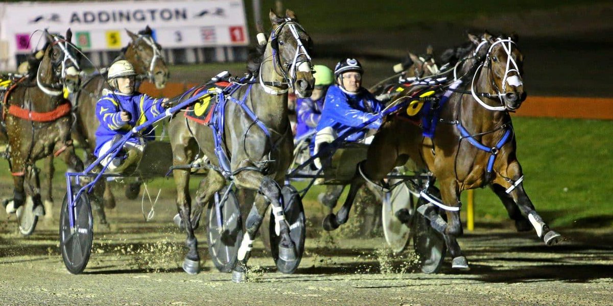 🛣 He had his first taste of the big leagues in the spring, now Forgotten Highway is back for more. <a href="/HarnessedNZ/">Harnessed</a> 

💬 Trainer Mitchell Kerr: “The main target is the Easter Cup, so we will try to get him cherry ripe for that.”

📖 theinformant.co.nz/forgotten-high…
