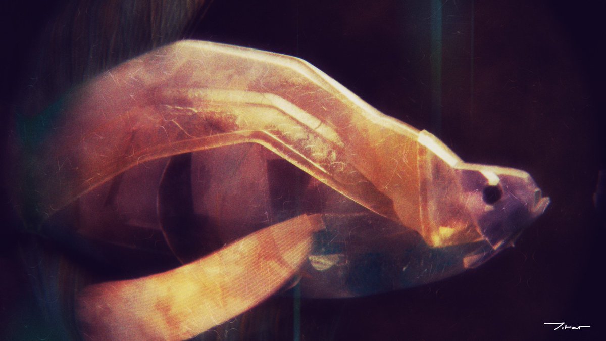 RFTobar's tweet photo. So far this is my finest work. Prelude to 'Post-Modern Myth'. #octanerender #prelude #fish #animalart #lightwave3d #cgart #digitalart #ancient #creature #aquatic #lightwave #model #3d #digitalorigami #octane3d #octane #lowpoly #lowpolyart #animalart #neomodernism https://t.co/x9WnEXe698