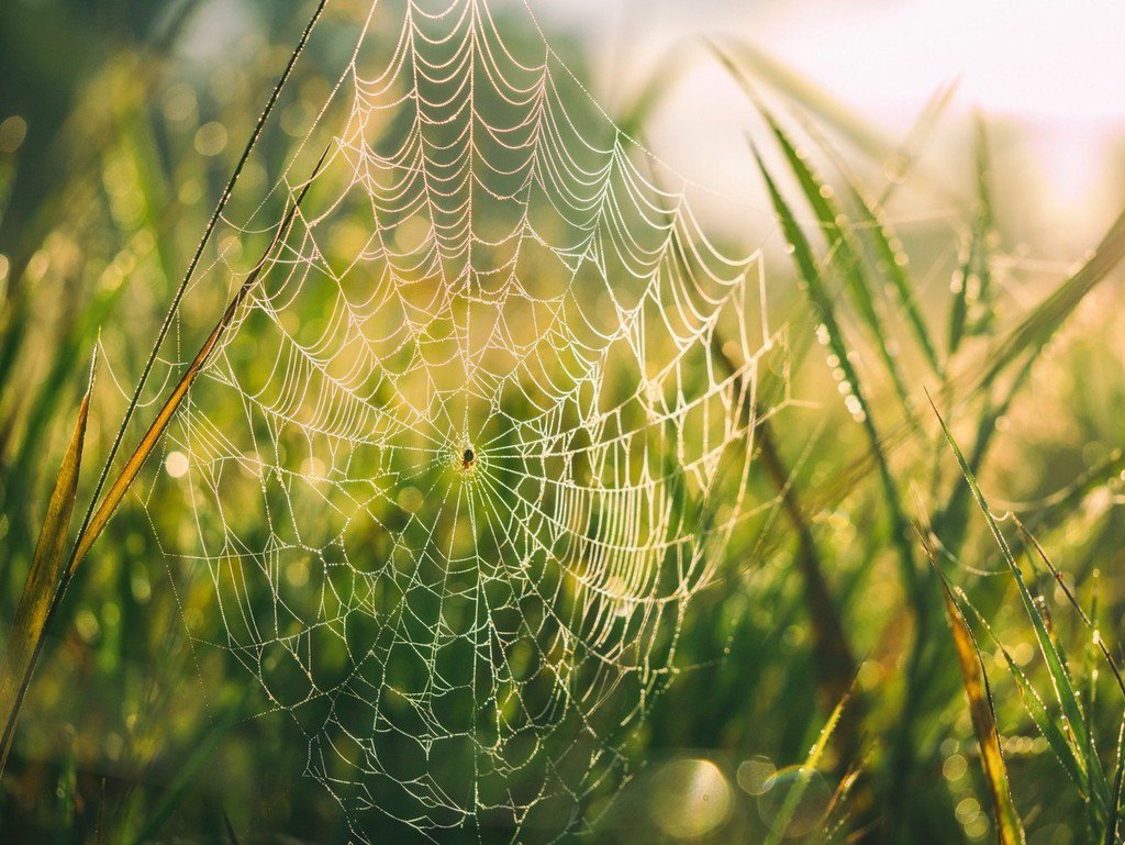 dev_js_codek's tweet image. How to Perform Web-Scraping using Node.js

☞ ift.tt/2tykk0C

#nodejs #javasript