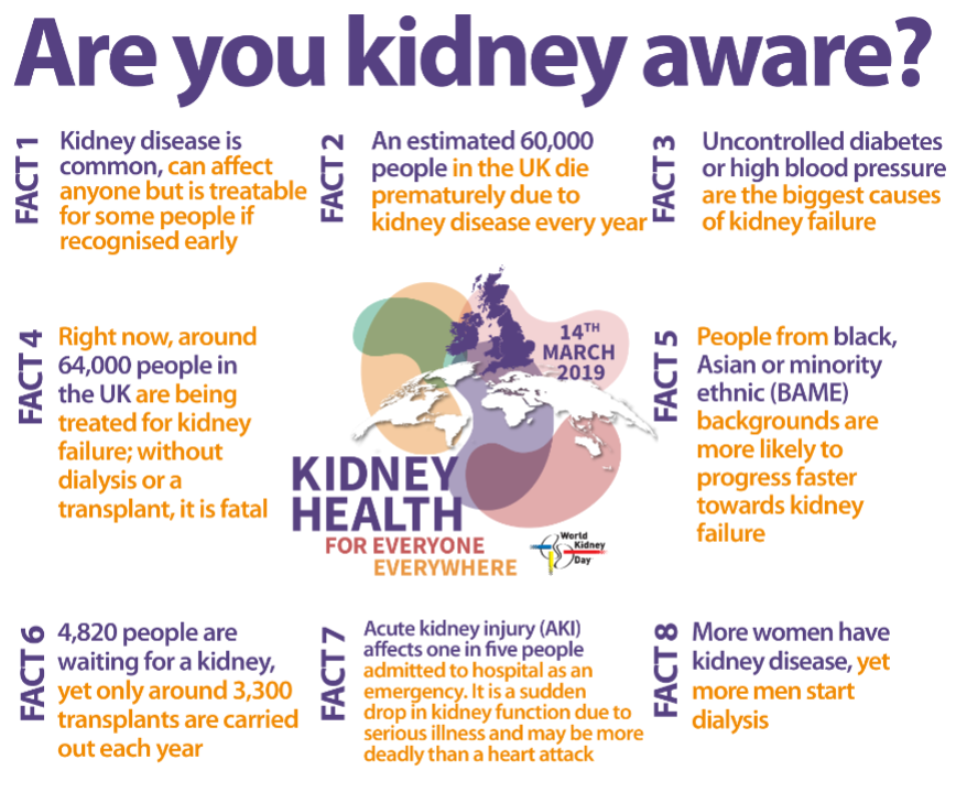 KidneyWales's tweet photo. To mark World Kidney Day, we have 8 facts to share.  Please help us spread the word! 

Did you know?...… 

#WorldKidneyDay #kidneywales @kidneydayUK https://t.co/rpL8usqWRX