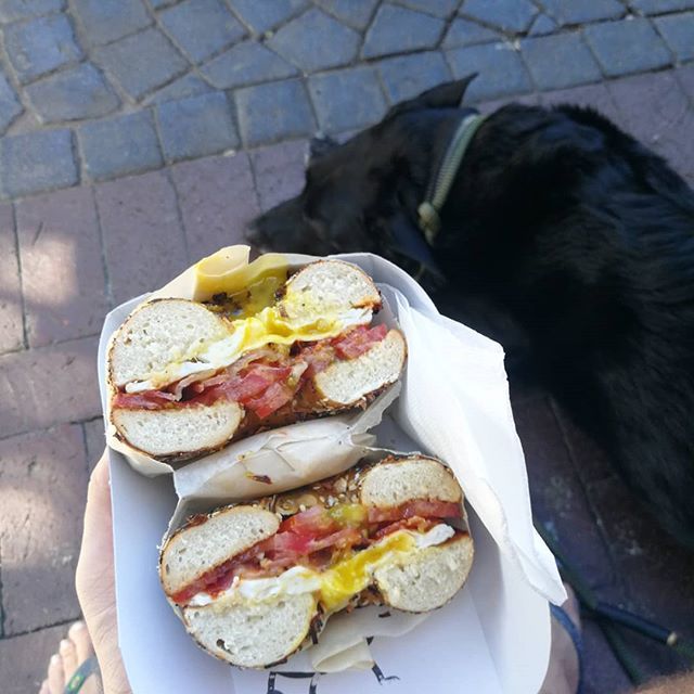 Exceptional breakfast. Thanks @maxbagels for fueling my ever expanding midriff. ift.tt/2HxzwU7