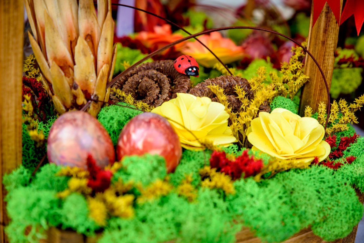 CJAlba_ro's tweet photo. Seminţe de flori şi legume, pomi fructiferi şi ornamentali, mobilier de grădină, unelte pentru grădinărit şi multe flori, la Târgul Grădinarului!
Vă invităm între 29-31 martie 2019, în latura de vest a Cetății Alba Carolina Alba Iulia, la un eveniment plin de culoare şi parfum! https://t.co/K5C17Gn4yw