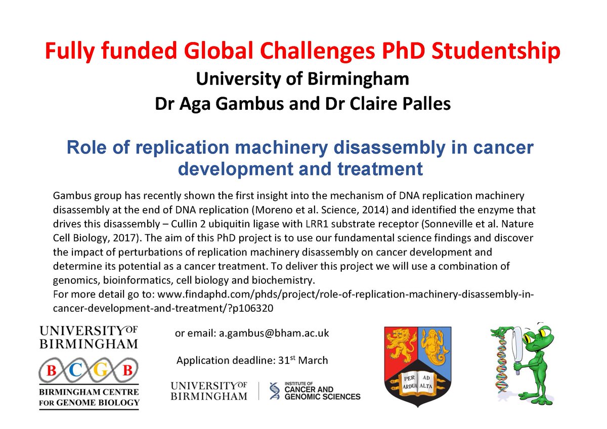 Two weeks left to apply for our PhD position! Join us and @clpalles in Global Challenges PhD cohort! #phdopportunity #hellobrum #phdlife